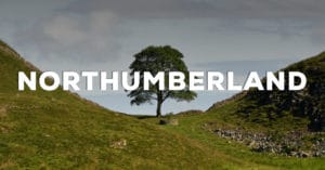 Northumberland Breweries